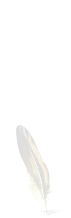plume.jpg