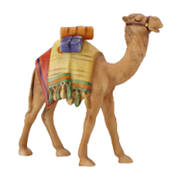 camel.png
