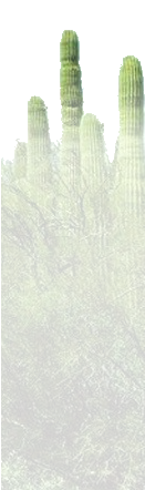 menu.png