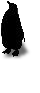 pingu.png