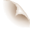 tfe_bord.png