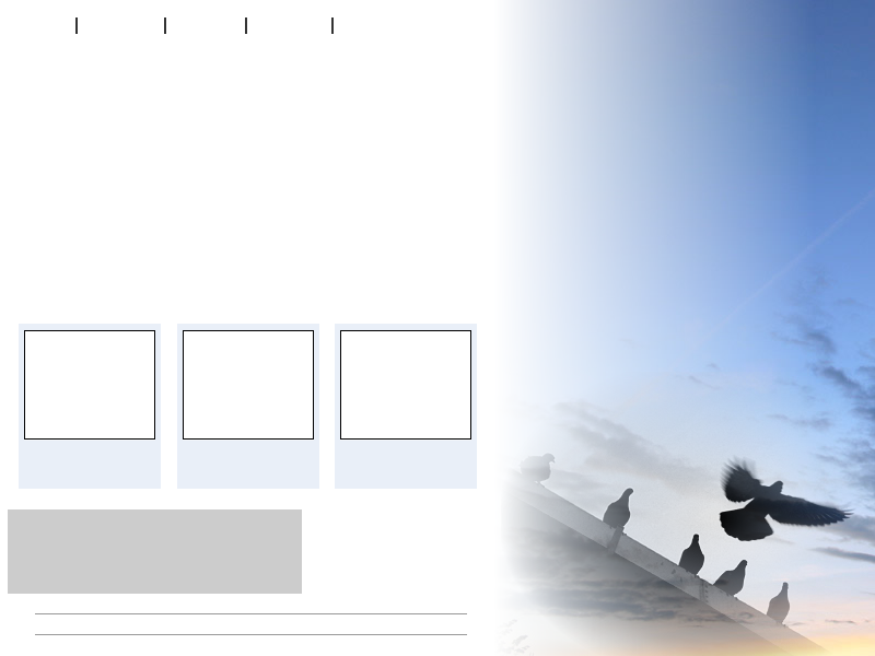 design.png