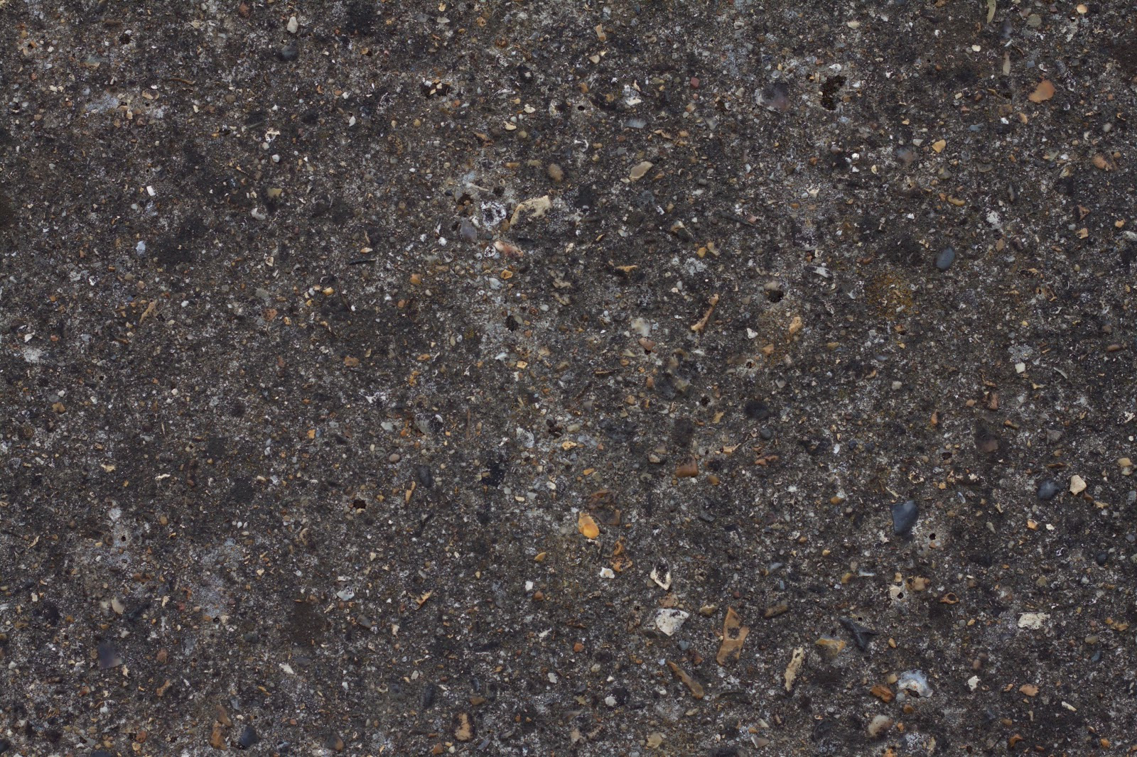 path_floor.jpg