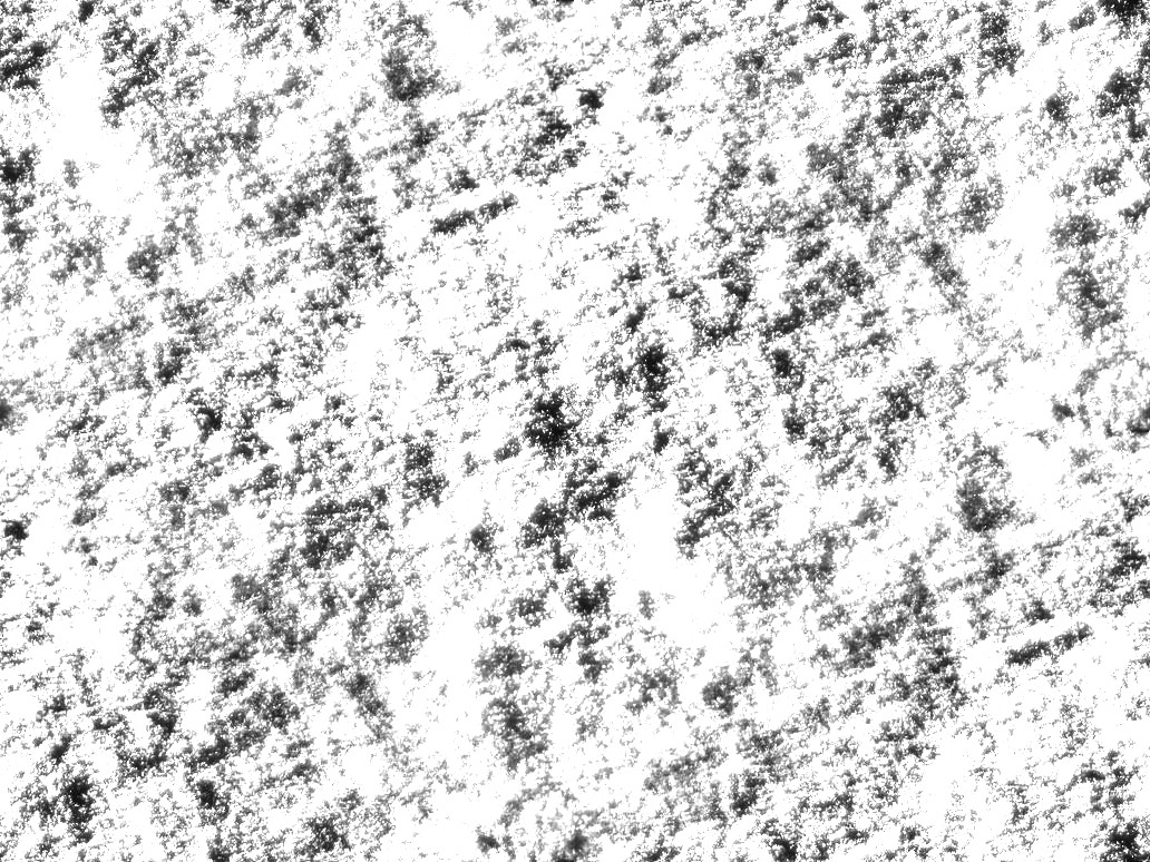 snow_bmap.jpg