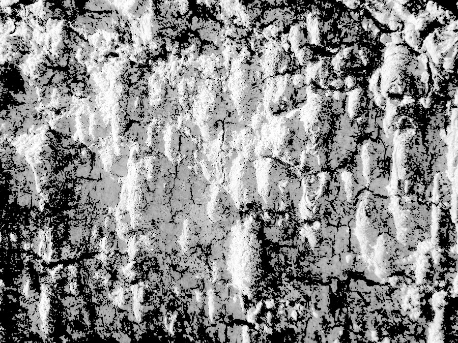 path_wall_bump.jpg