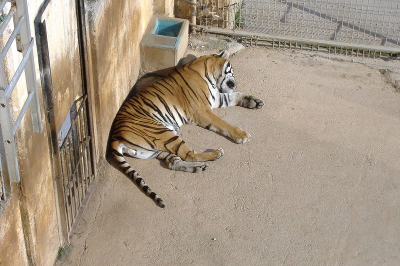 dscf2947.jpg