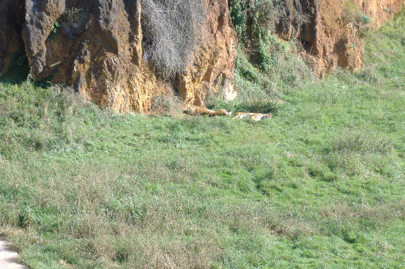 dscf2948.jpg