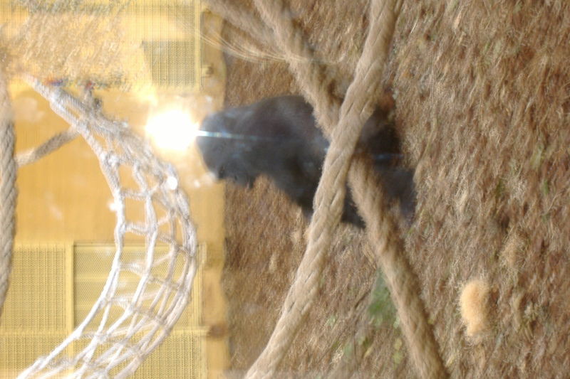 dscf2951.jpg