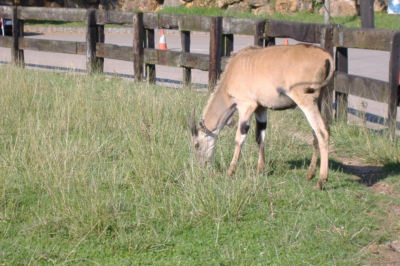 dscf2953.jpg
