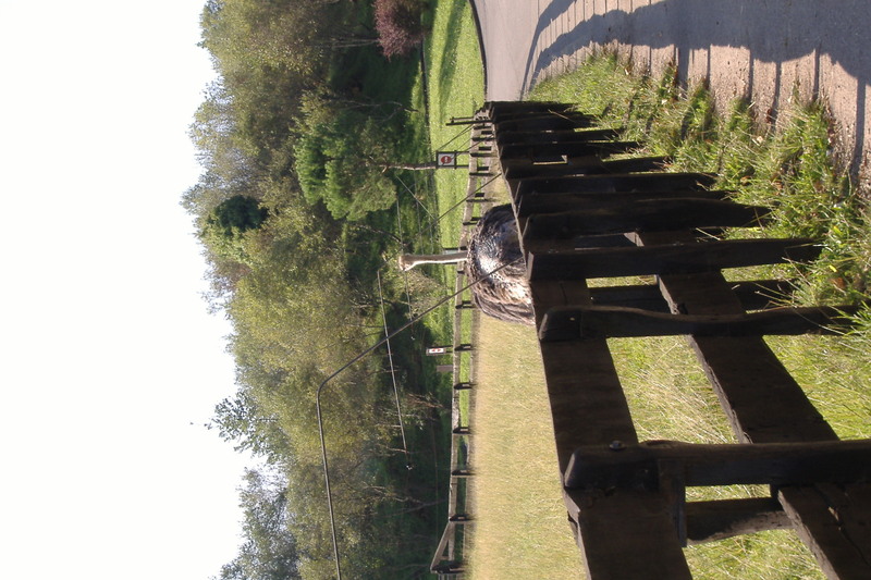 dscf2955.jpg