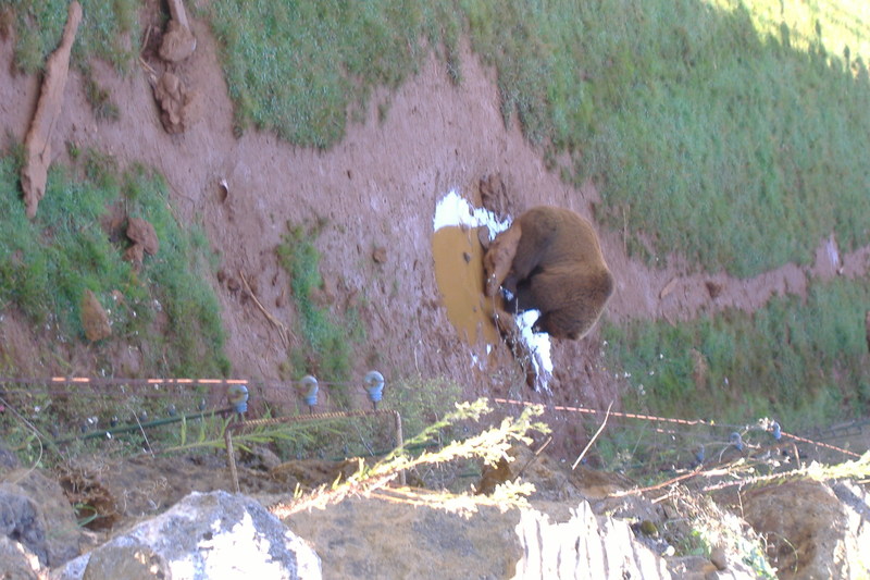 dscf2957.jpg