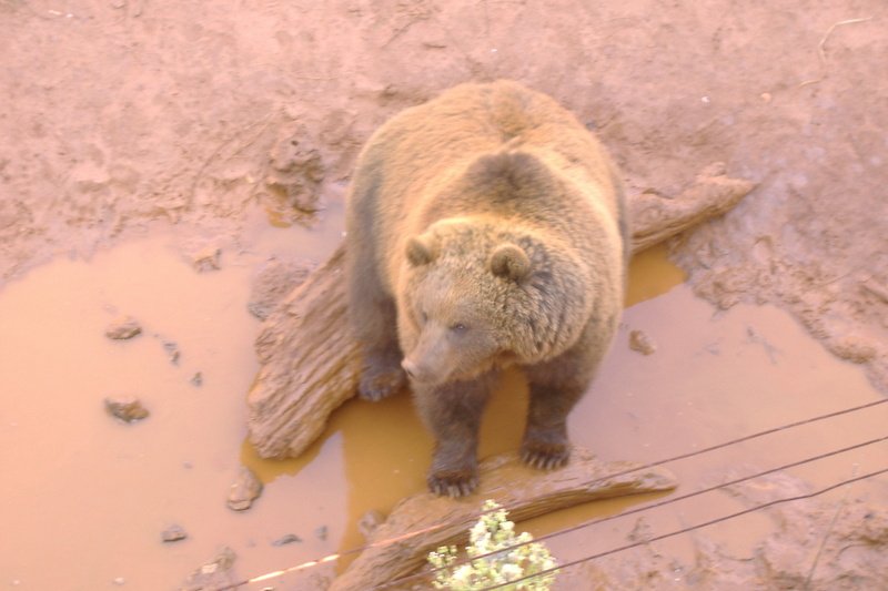 dscf2958.jpg