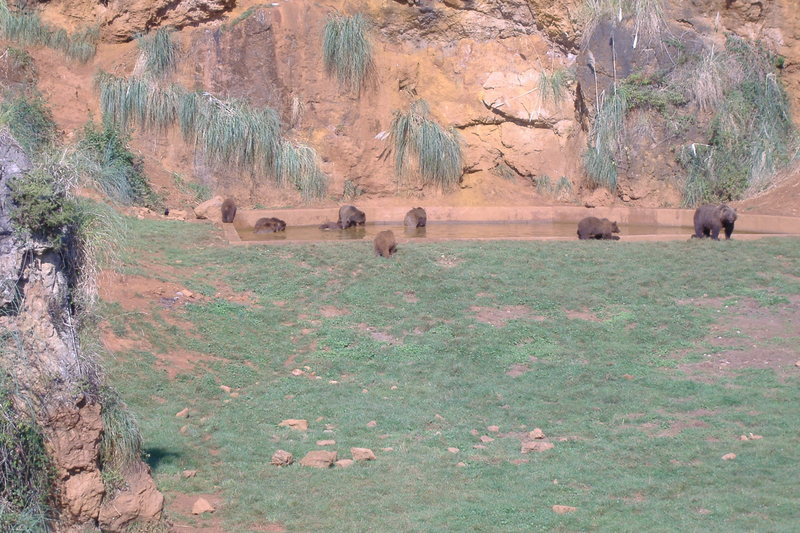 dscf2959.jpg