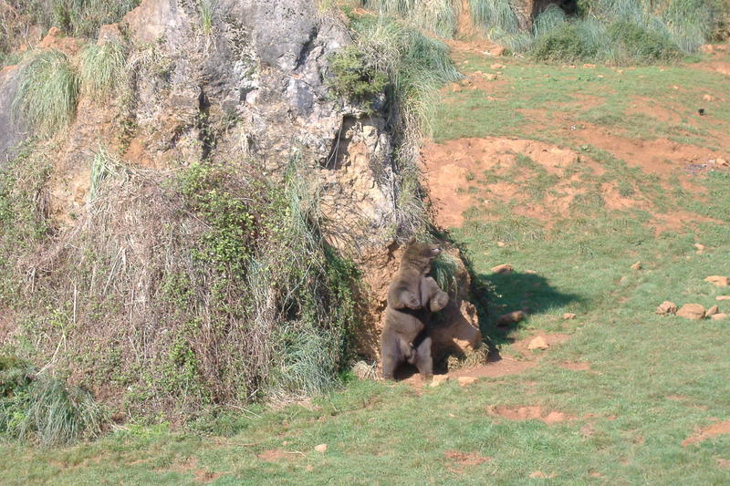 dscf2962.jpg