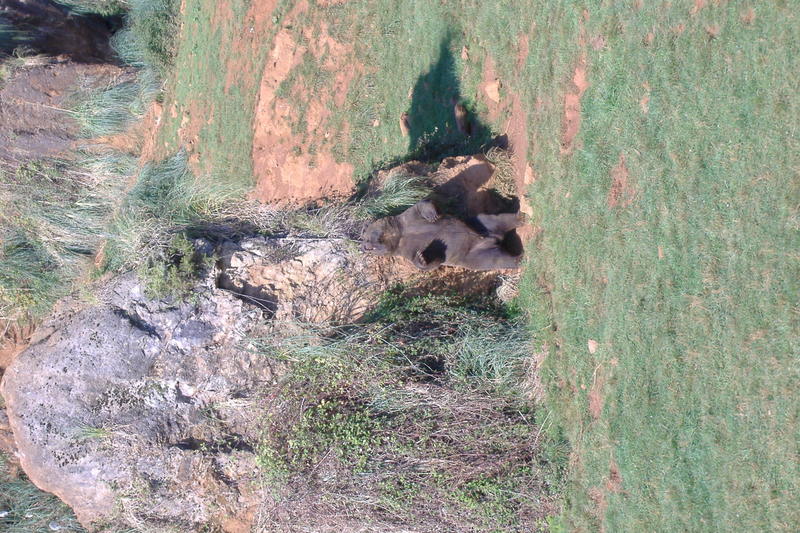 dscf2963.jpg