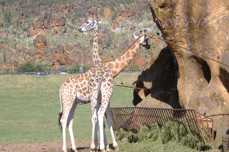 dscf2970.jpg