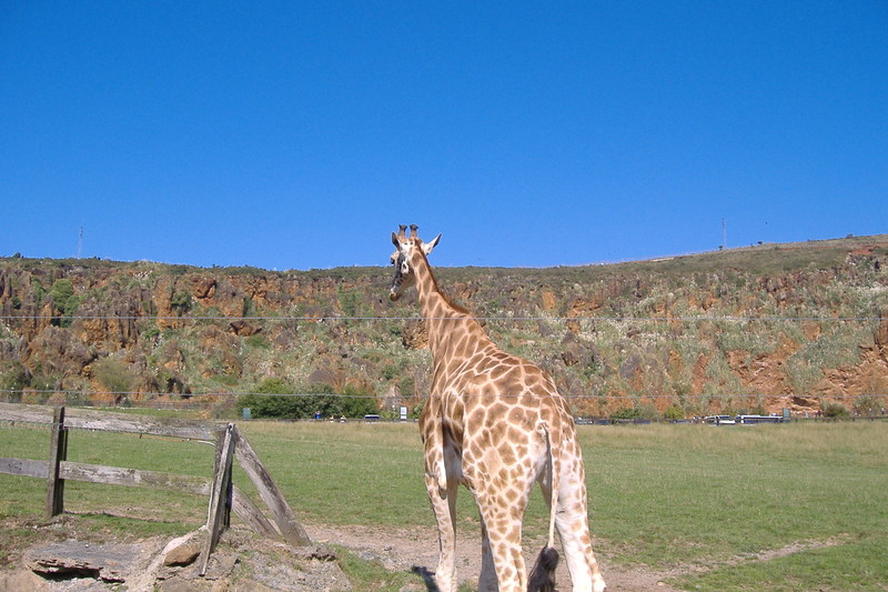 dscf2973.jpg