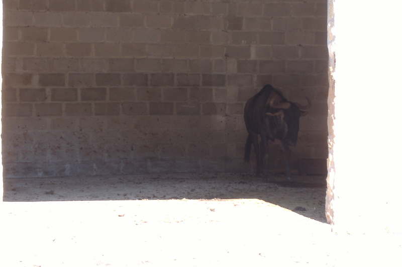 dscf2974.jpg