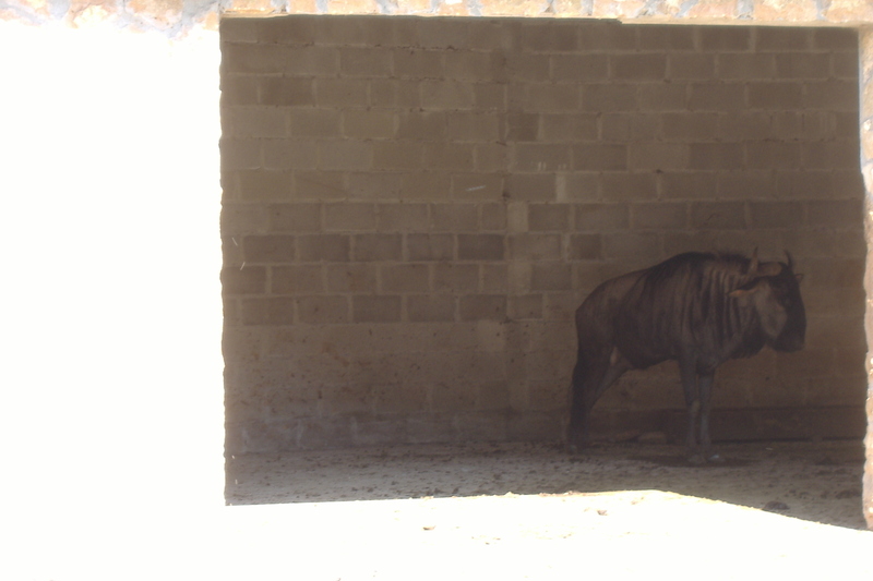 dscf2975.jpg