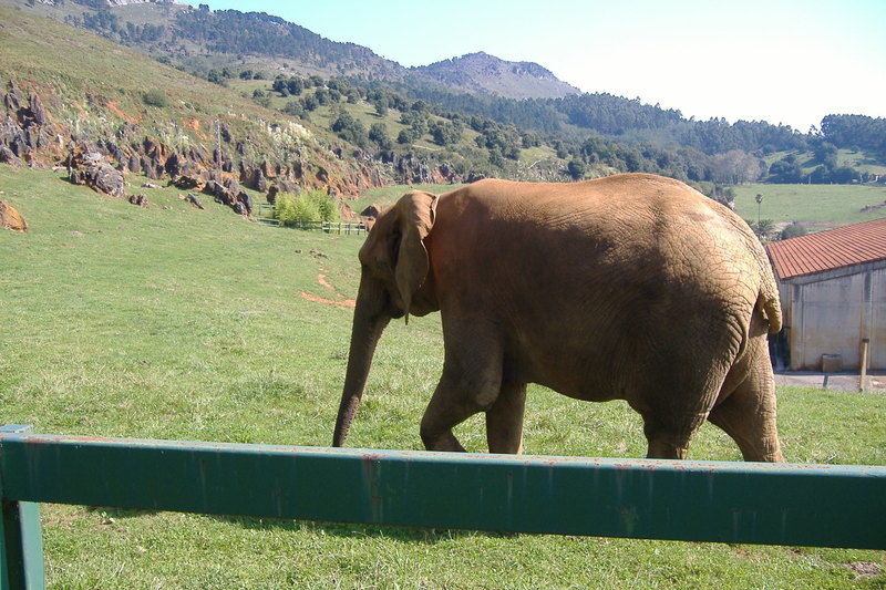 dscf2977.jpg
