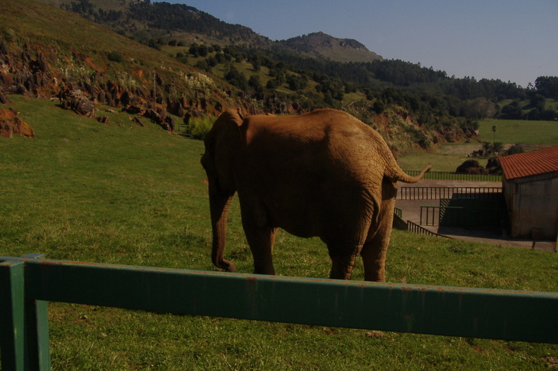 dscf2978.jpg