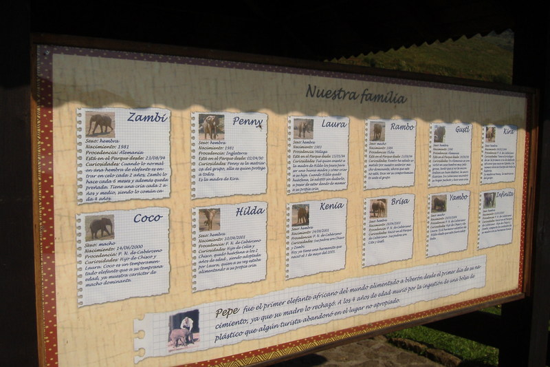 dscf2980.jpg