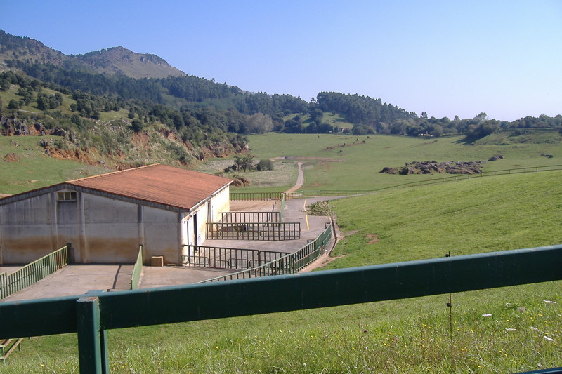 dscf2981.jpg