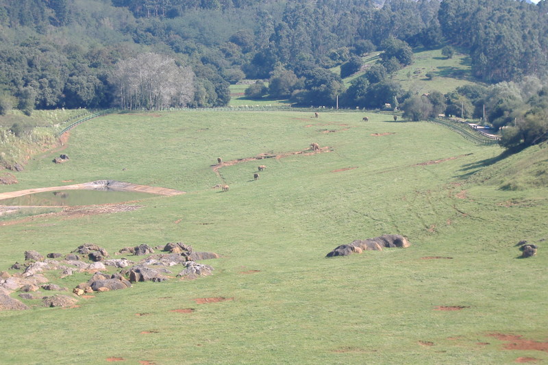 dscf2982.jpg
