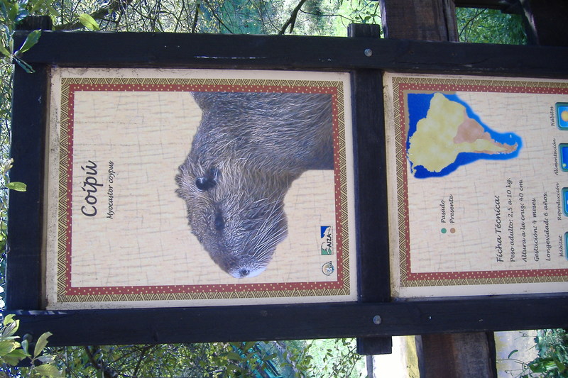 dscf2983.jpg
