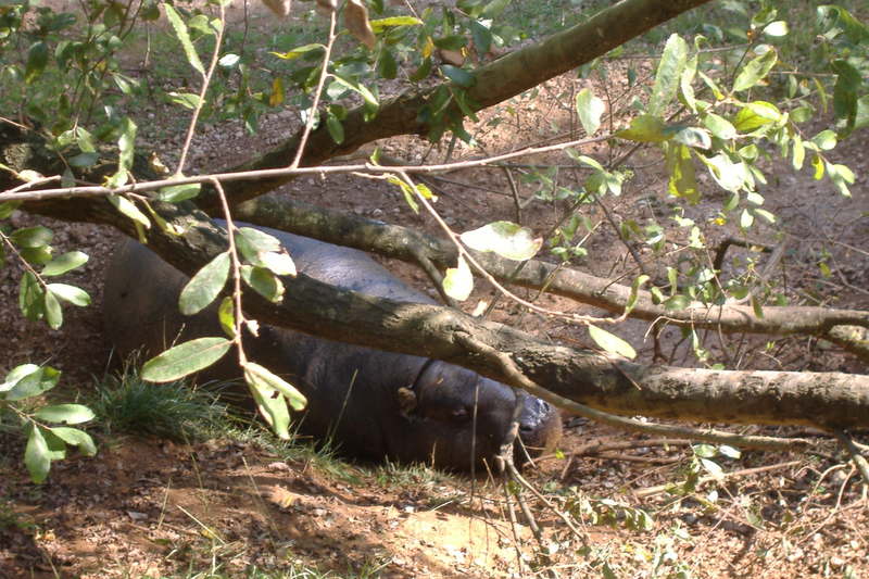 dscf2984.jpg