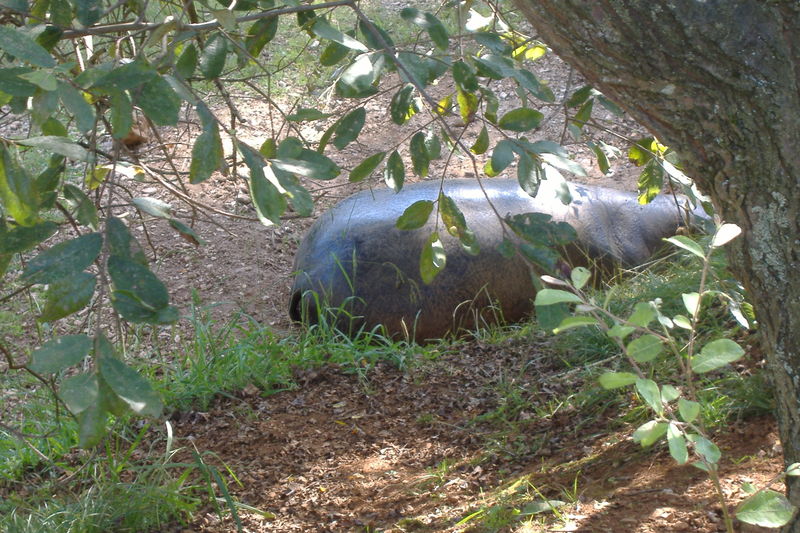 dscf2985.jpg