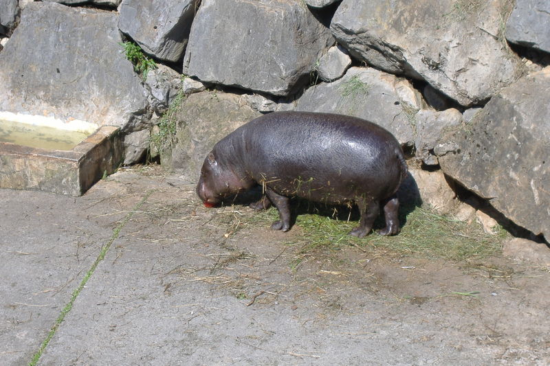 dscf2987.jpg