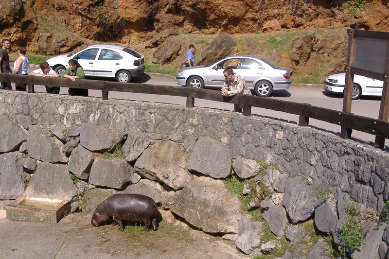 dscf2988.jpg