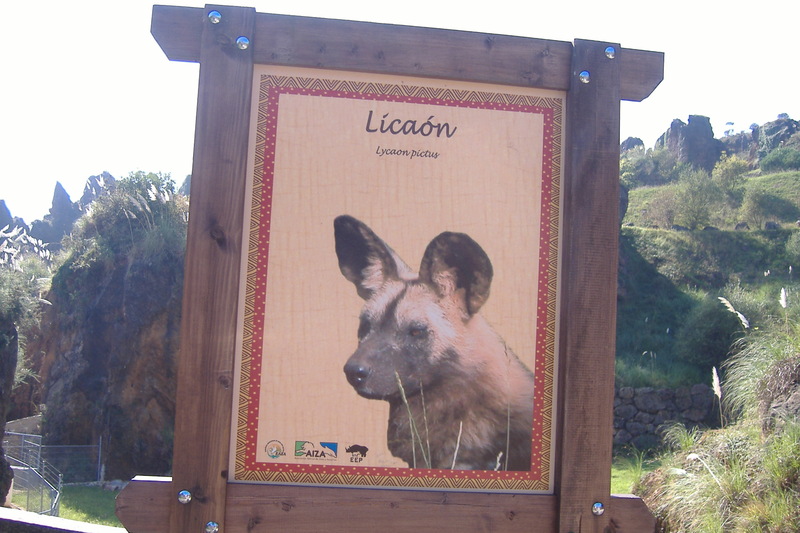 dscf2989.jpg