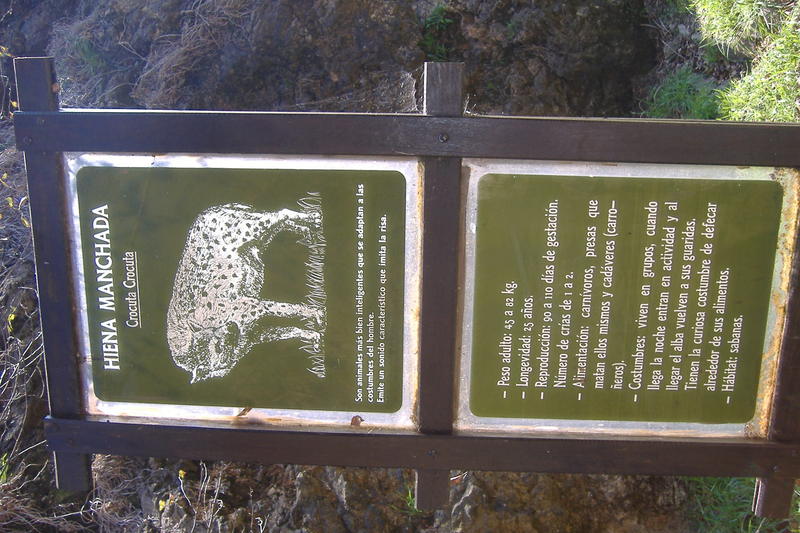 dscf2990.jpg