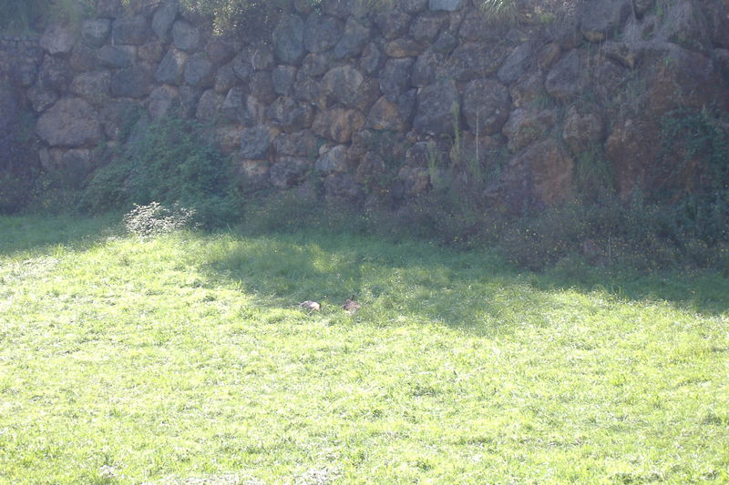 dscf2992.jpg