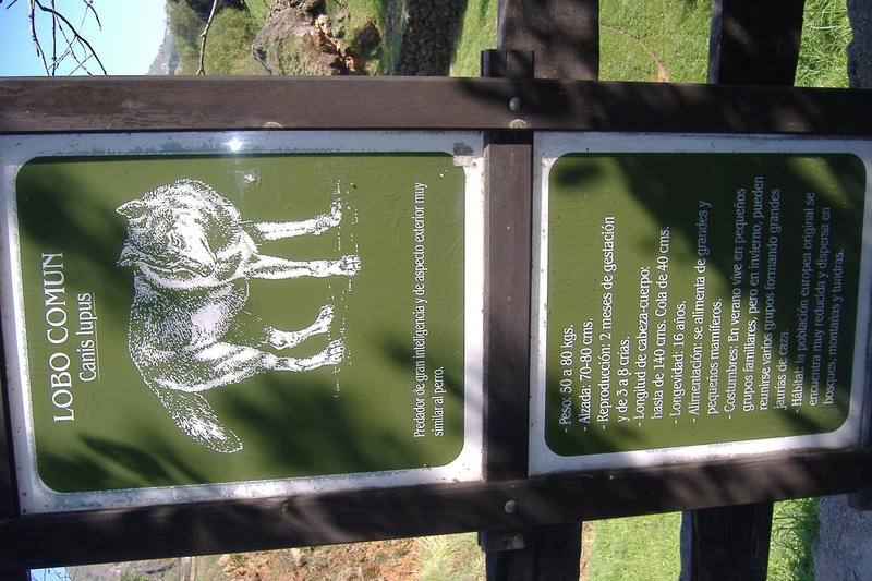 dscf2996.jpg
