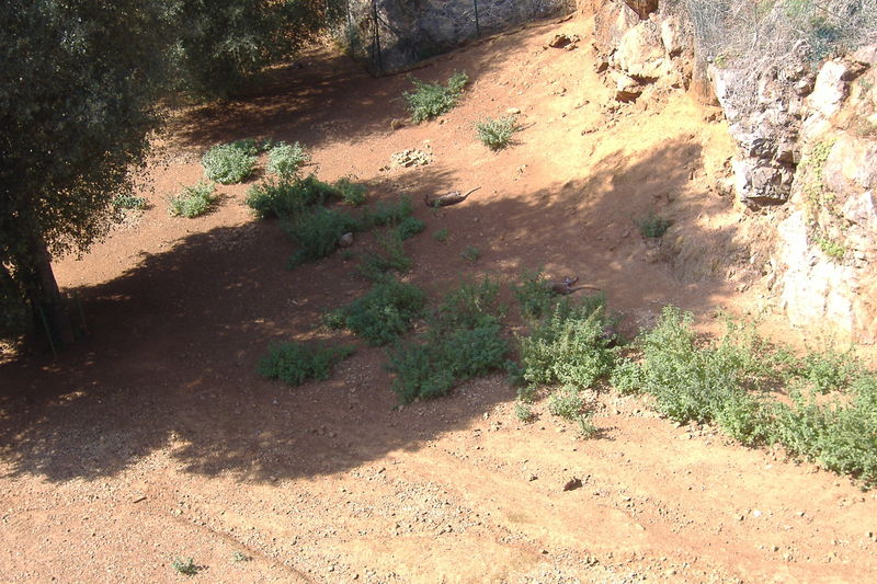 dscf2997.jpg