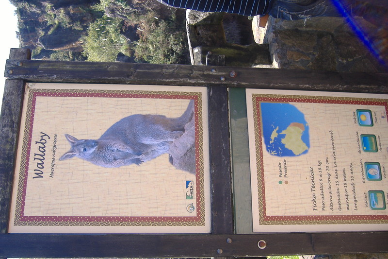 dscf2999.jpg