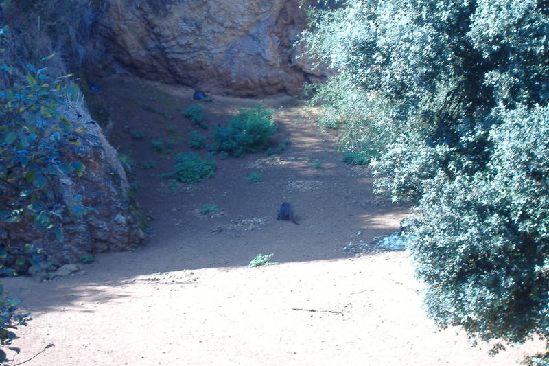 dscf3000.jpg