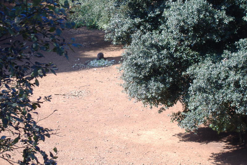 dscf3001.jpg
