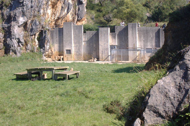 dscf3002.jpg