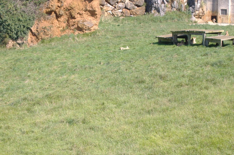 dscf3003.jpg
