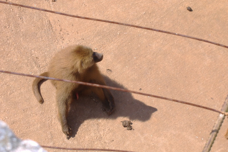 dscf3005.jpg