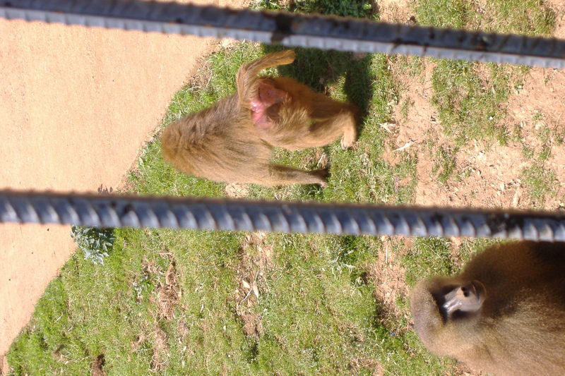 dscf3007.jpg