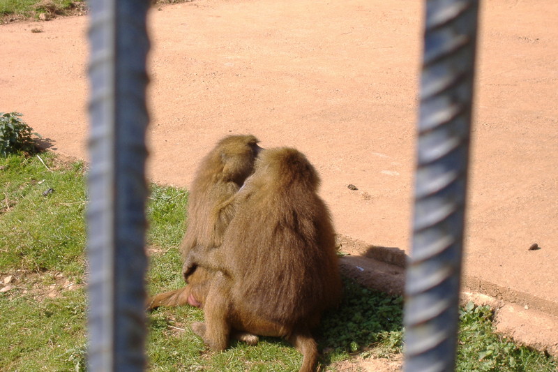 dscf3008.jpg
