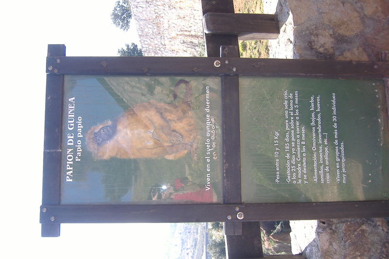 dscf3011.jpg