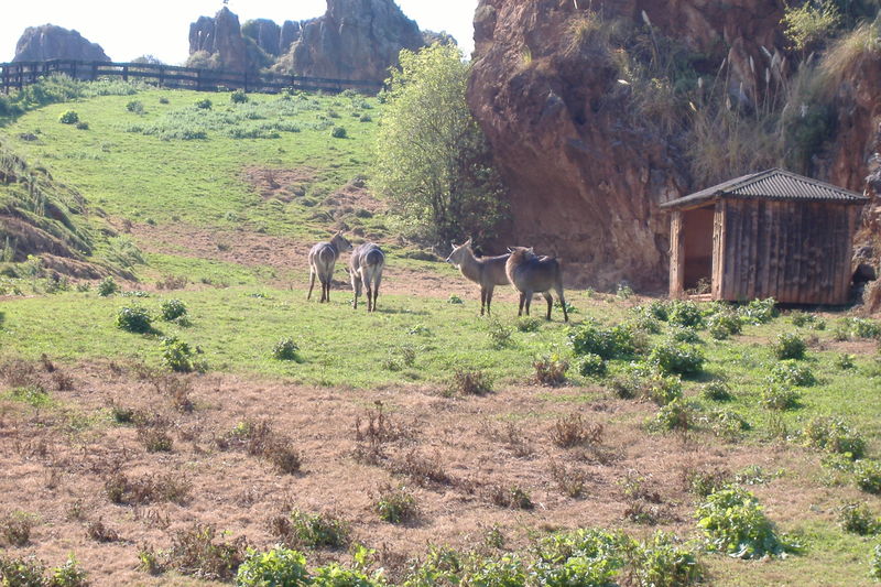 dscf3017.jpg