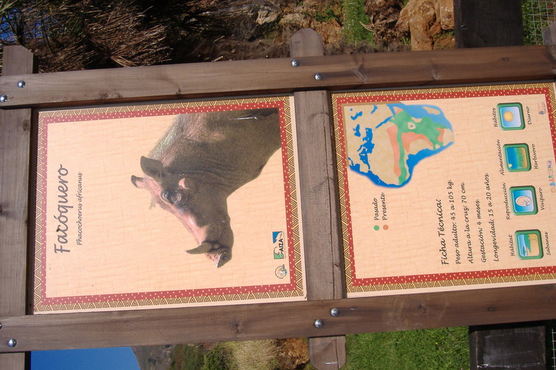 dscf3018.jpg