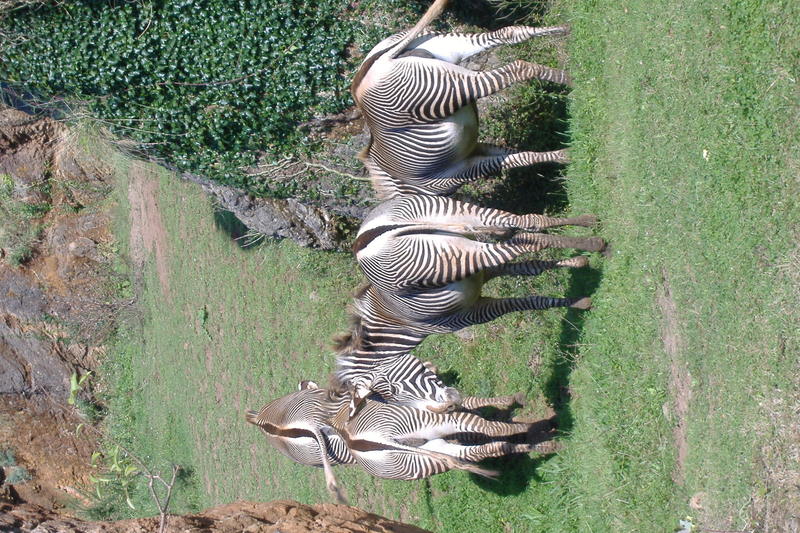 dscf3023.jpg
